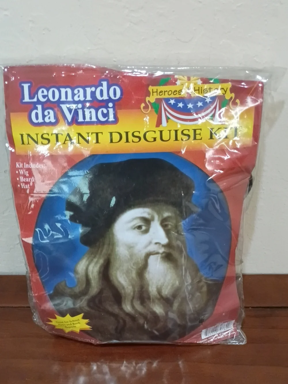 Leonardo da Vinci Halloween Instant Disguise